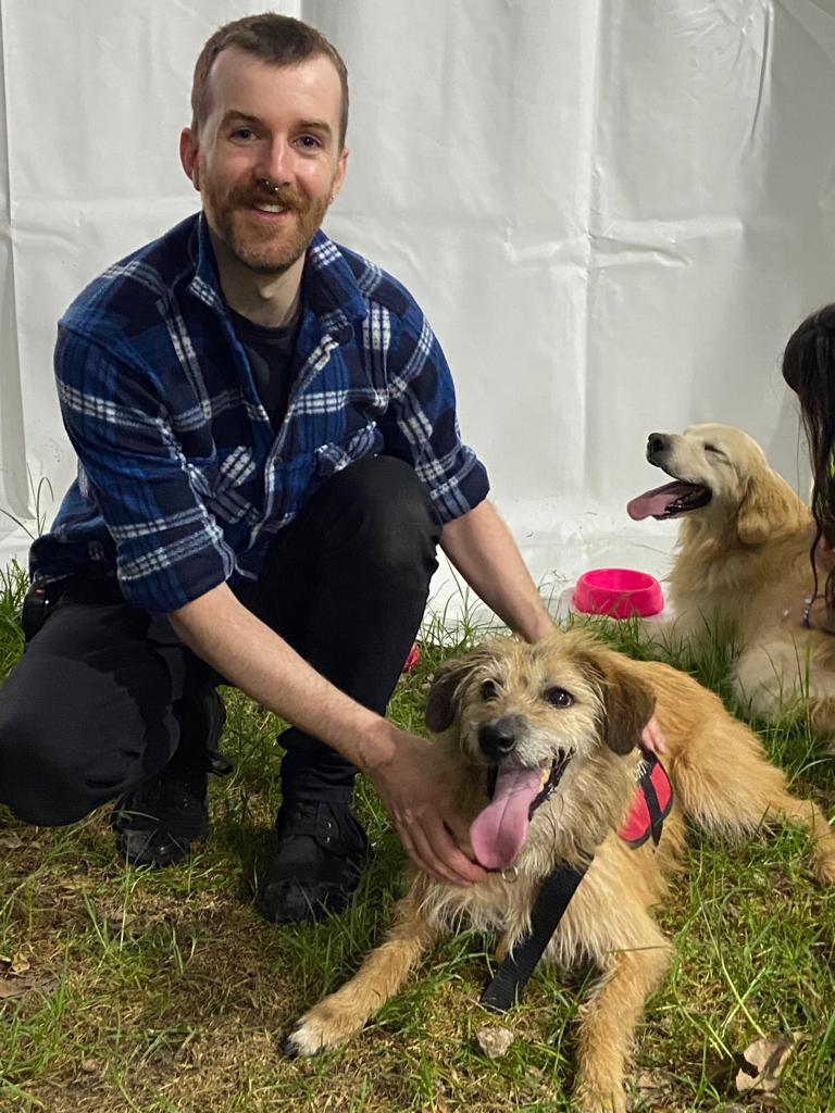 perros de terapia y apoyo emocional en el concierto de dua lipa bogotá