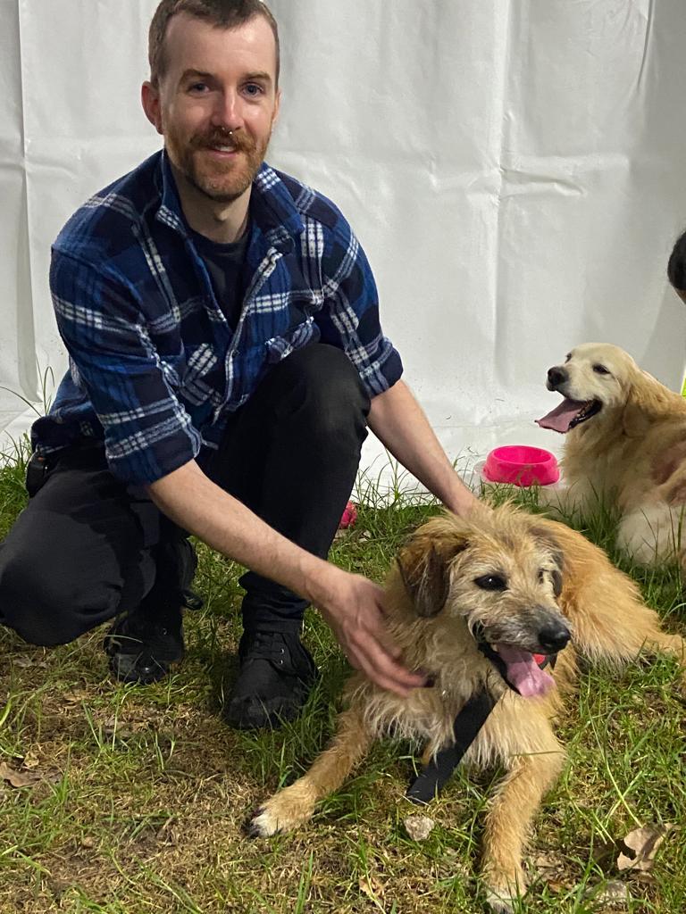 perros de terapia y apoyo emocional en el concierto de dua lipa bogotá