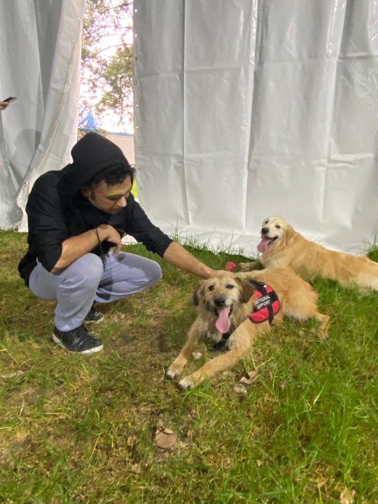 perros de terapia y apoyo emocional en el concierto de dua lipa bogotá