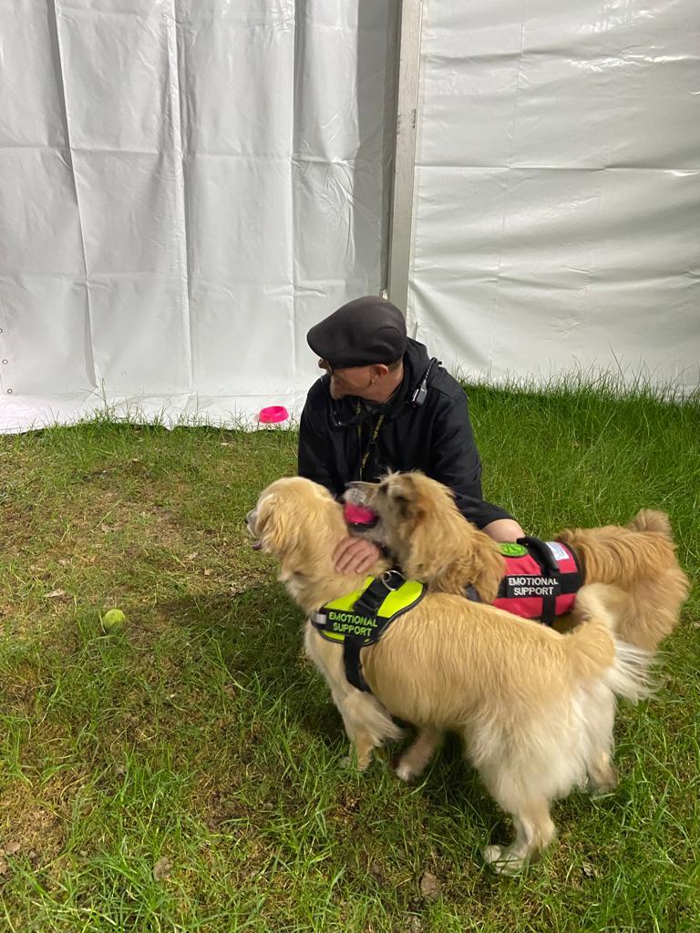 perros de terapia y apoyo emocional en el concierto de dua lipa bogotá