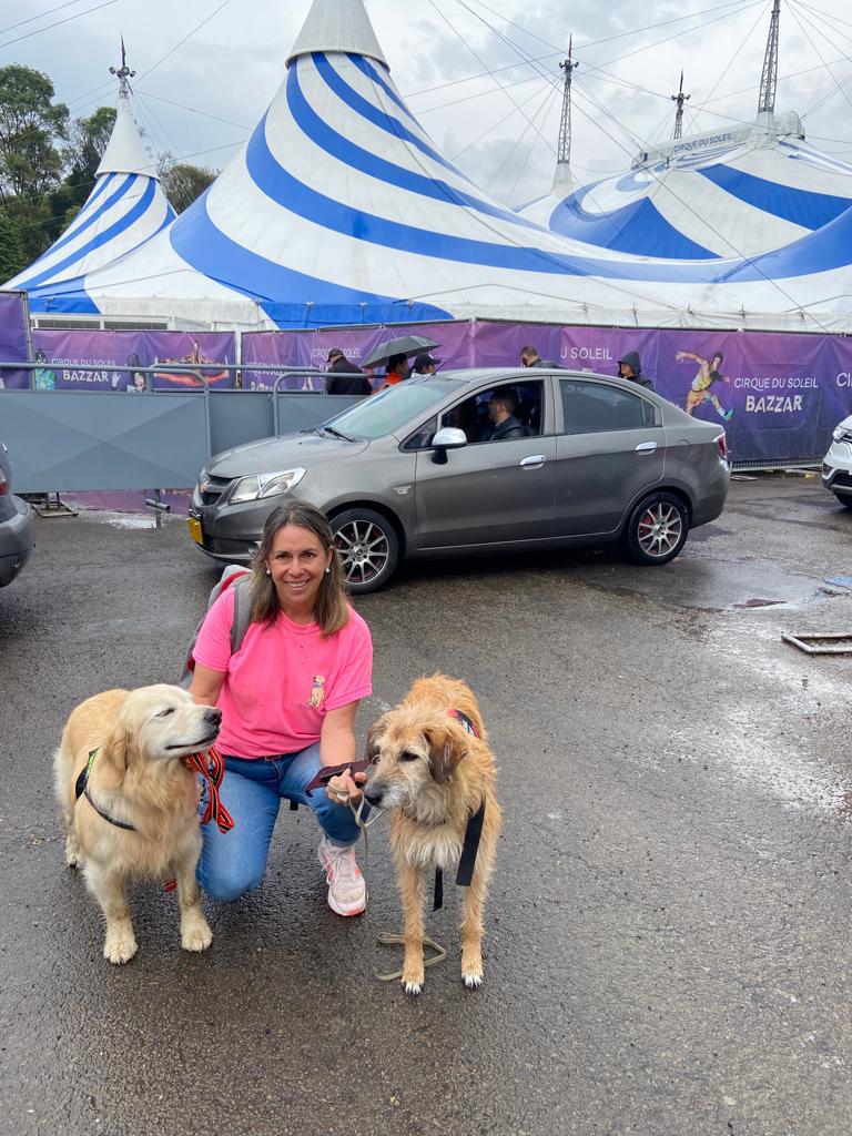 perros de terapia y apoyo emocional en el concierto de dua lipa bogotá